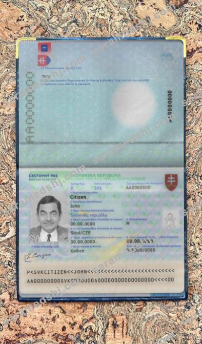 Slovakia pass photo look